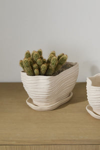 Design Shop Highland Pot with Saucer 9"x 6"x 6"