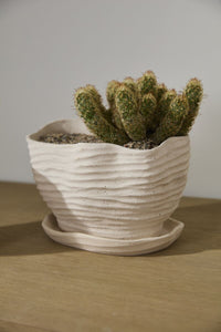 Design Shop Highland Pot with Saucer 9"x 6"x 6"