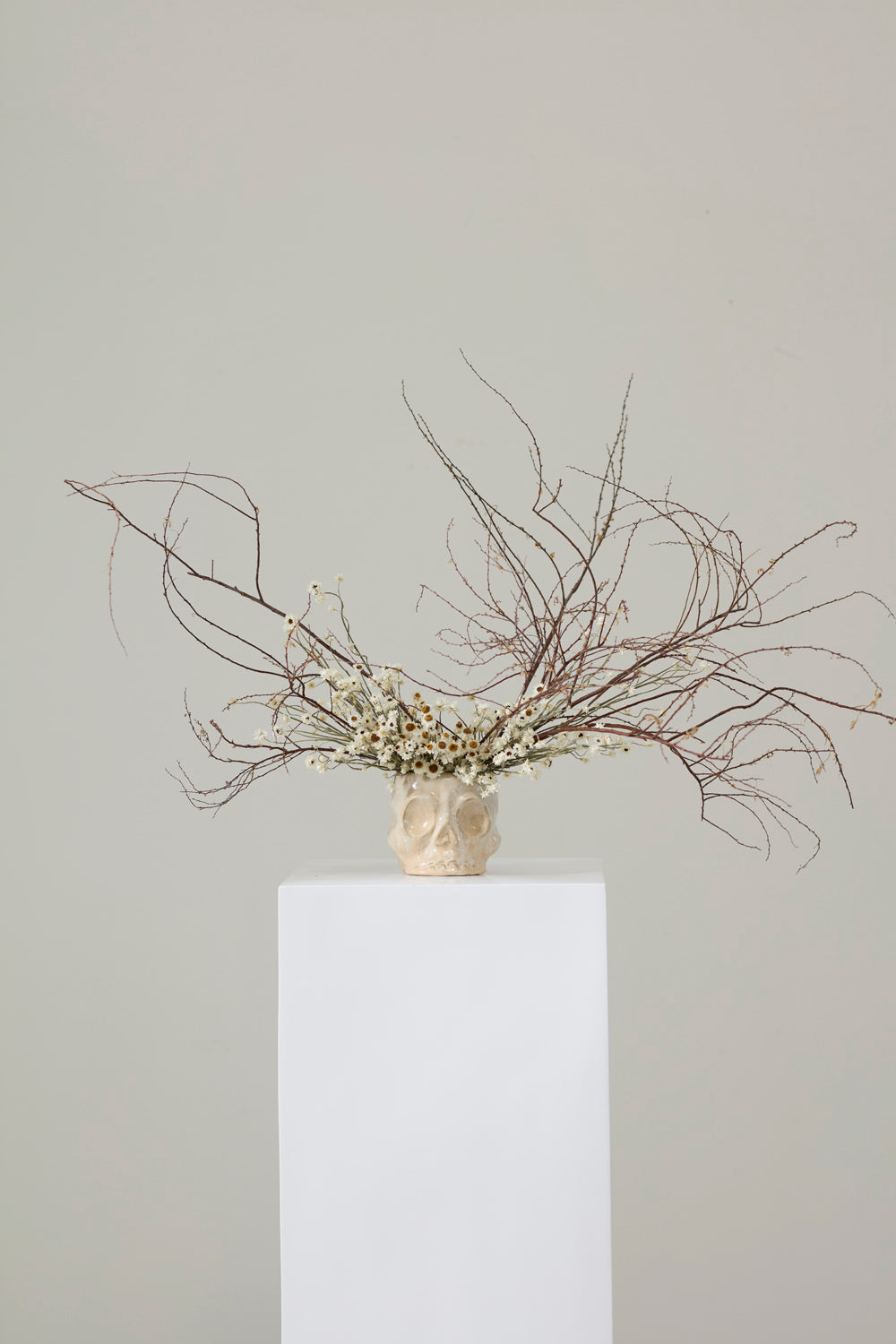 Design Shop Haunting Skull Pot 5.5"x 4.75"x 4.25"