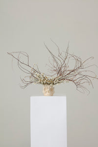 Design Shop Haunting Skull Pot 5.5"x 4.75"x 4.25"