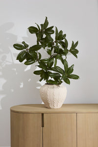 Design Shop Argos Vase 14"x 11.75"