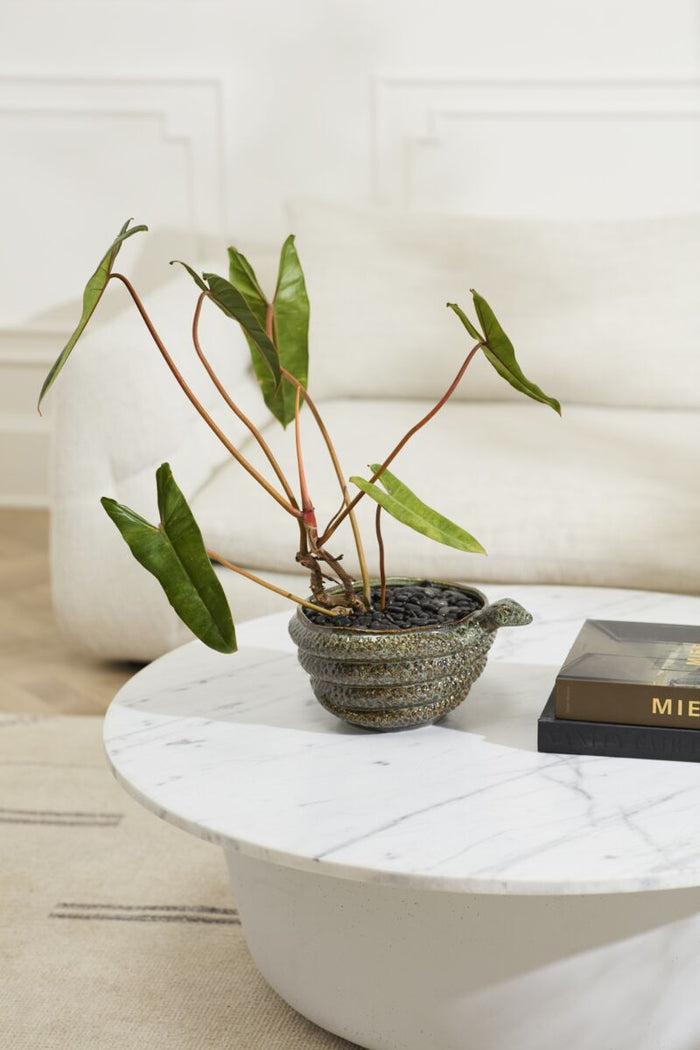 Potted plant on a marble coffee table with a book in the background
