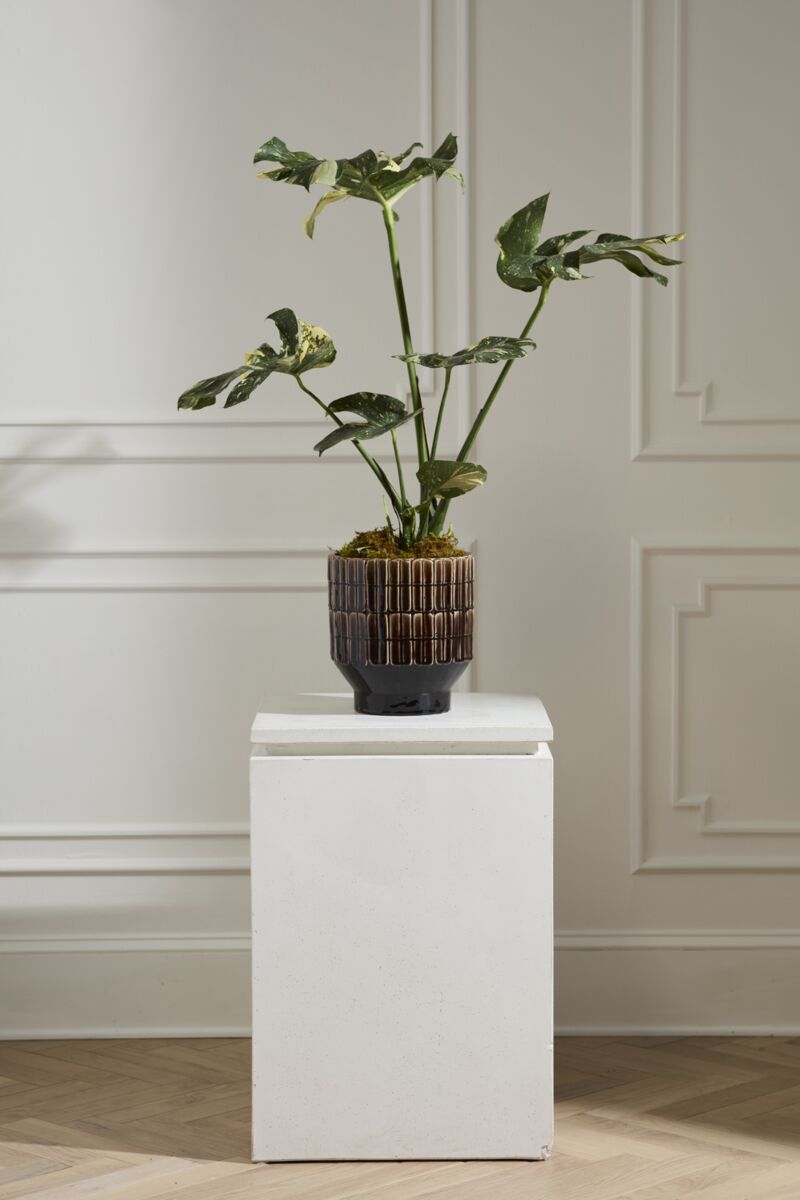 Design Shop Kasra Pot 9.75"x 11"