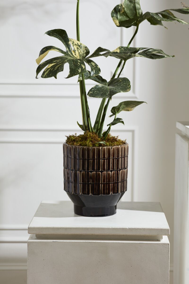 Design Shop Kasra Pot 9.75"x 11"