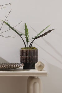 Design Shop Kasra Pot 9.75"x 11"