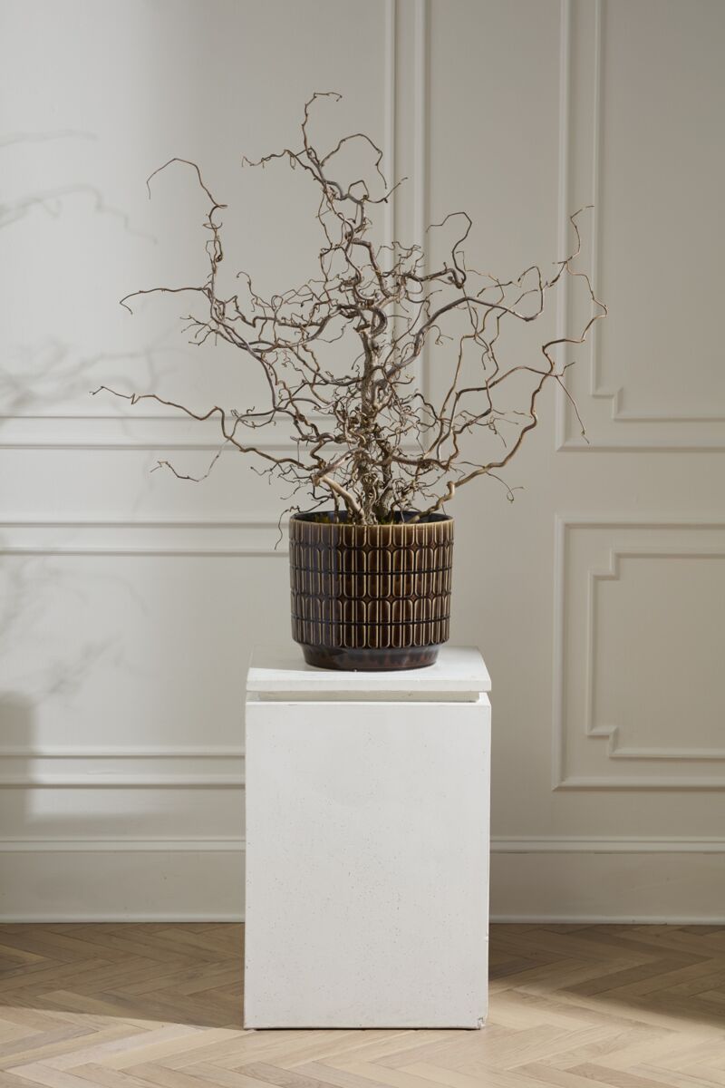 Design Shop Kasra Pot 13.5"x 12.5"