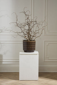 Design Shop Kasra Pot 13.5"x 12.5"