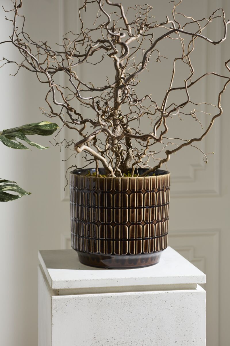 Design Shop Kasra Pot 13.5"x 12.5"