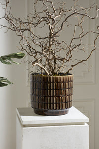 Design Shop Kasra Pot 13.5"x 12.5"