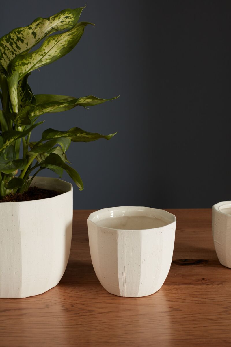 Design Shop Bona Pot 5"x 4.5", Set of 2
