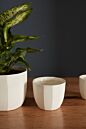 Design Shop Bona Pot 5"x 4.5", Set of 2
