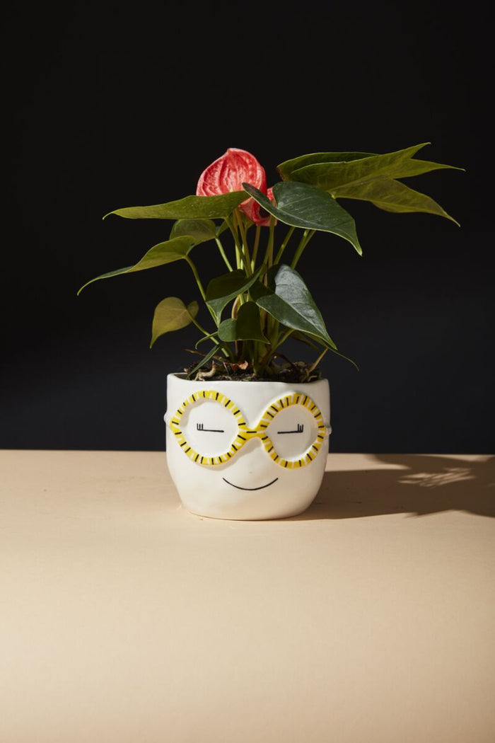 Design Shop White Fab Pot Charlie, 4.5" X 3.75", Set of 2.