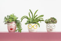 Design Shop White Fab Pot Charlie, 4.5" X 3.75", Set of 2.