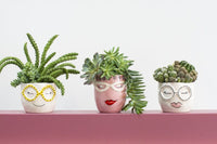 Design Shop Pink Fab Pot Flo, 4.5" X 4.75".