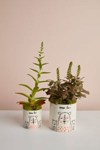 Design Shop White Mama Bear Collection, 4.25" X 4.25".