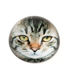 Design Shop Vintage Cat Crystal Dome Paperweight