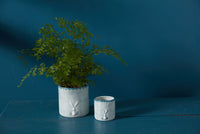 Design Shop Light-Blue Hopper Pot, 4.5" X 4.5"