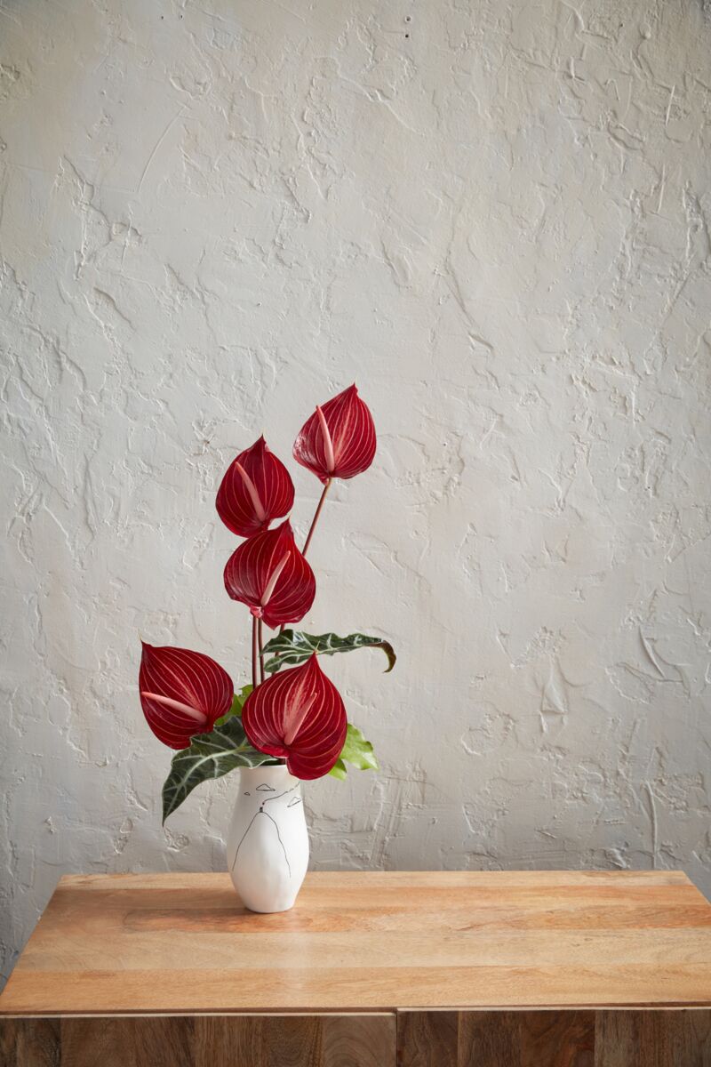 Design Shop White Promises Vase, 4.25" X 8".