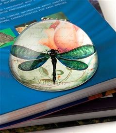 Design Shop Green Dragonfly Crystal Dome Paperweight