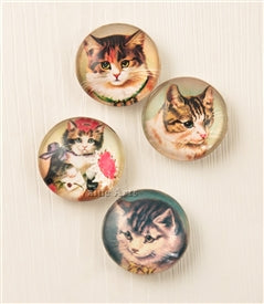 Design Shop Vintage Cute Kitten Magnet / Set Of 4