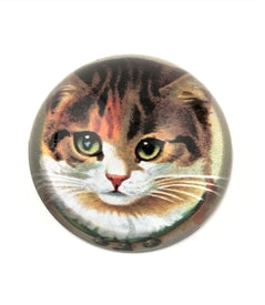 Design Shop Vintage Kitten Crystal Dome Paperweight