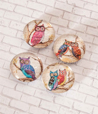 Design Shop Vintage Owl Magnet/Set of 4