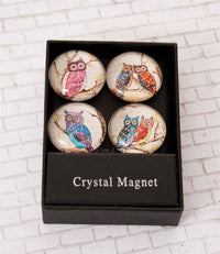Design Shop Vintage Owl Magnet/Set of 4