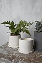 Design Shop Easton Pot with Saucer 5"x 3.5", Set of 2