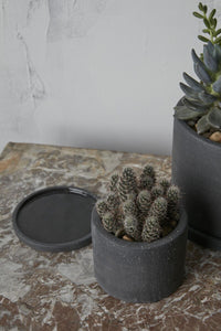 Design Shop Easton Pot with Saucer 5"x 3.5", Set of 2