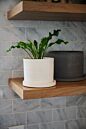 Design Shop Easton Pot with Saucer 5.5"x 4.25", Set of 2