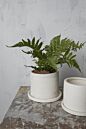 Design Shop Easton Pot with Saucer 5.5"x 4.25", Set of 2