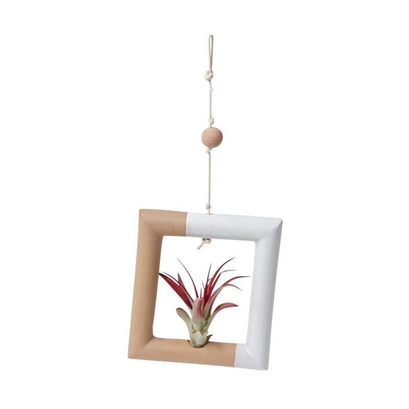 Design Shop White Nevena Tillandsia Holder, 6" X 12", Set of 2.