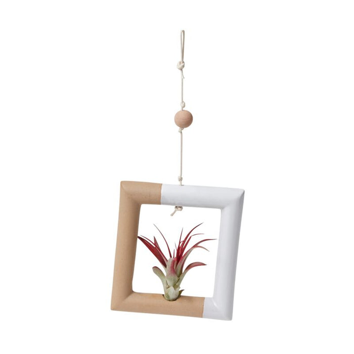 Design Shop White Nevena Tillandsia Holder, 6" X 12", Set of 2.