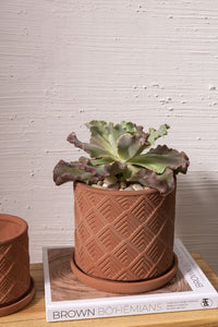 Design Shop Terracotta Mittani Pot, 7.5" X 7".