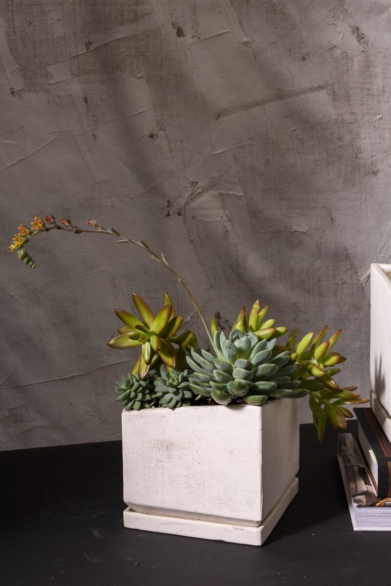 Design Shop White Tevy Pot, 6" X 5.75".