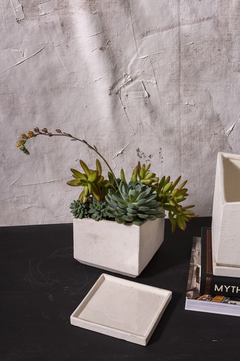 Design Shop White Tevy Pot, 6" X 5.75".