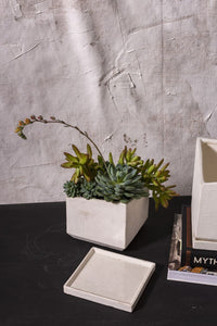 Design Shop White Tevy Pot, 6" X 5.75".