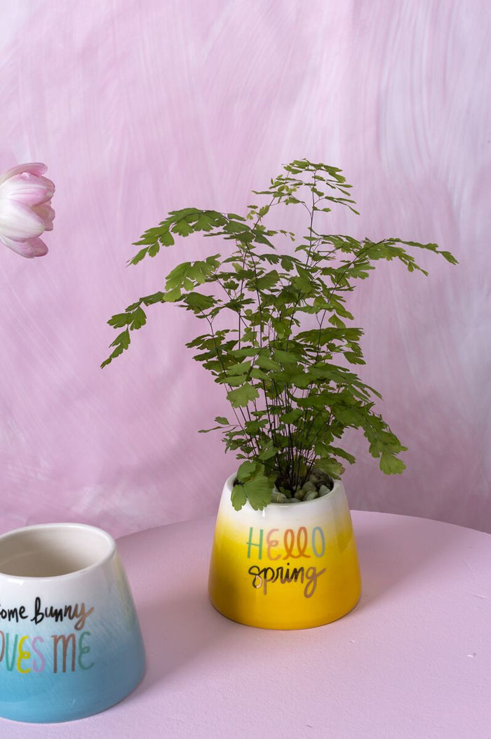 Design Shop Yellow Easter Cheer Pot, 4.25" X 3.75".