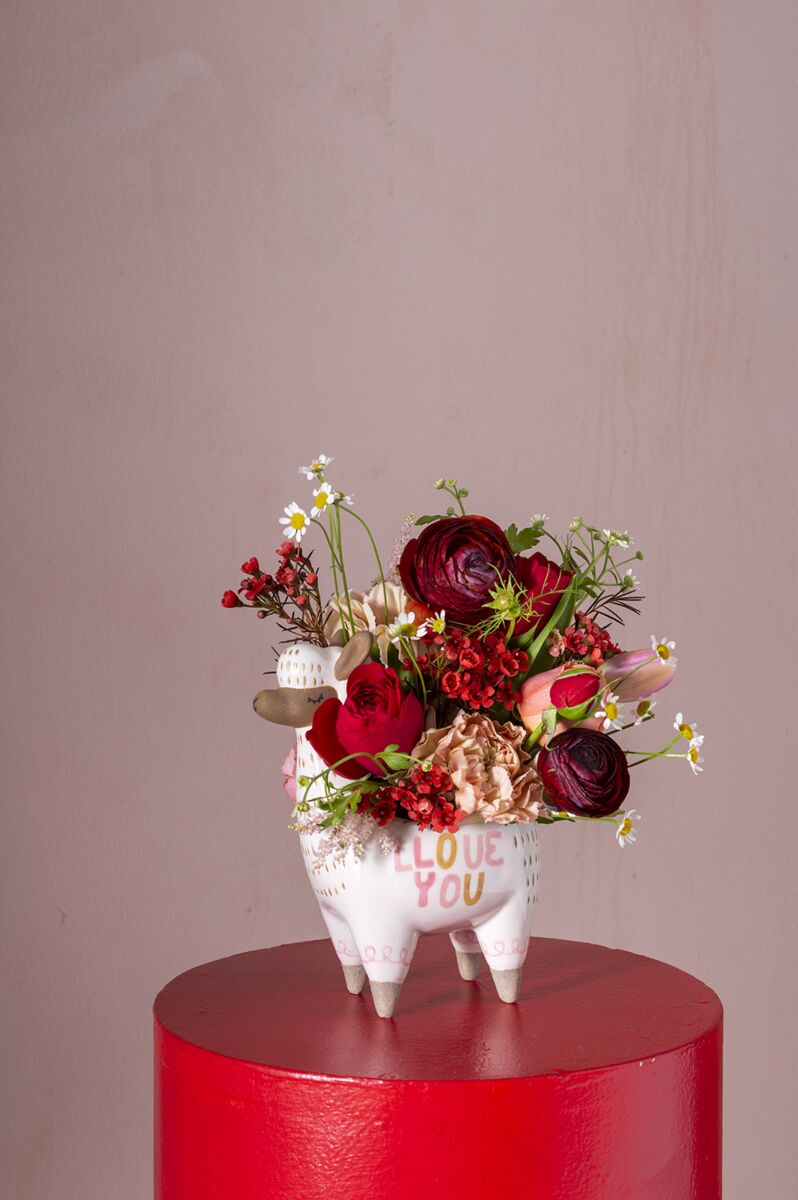 Design Shop White Fuzzy Feelings Collection Llama, 5" X 6.75".