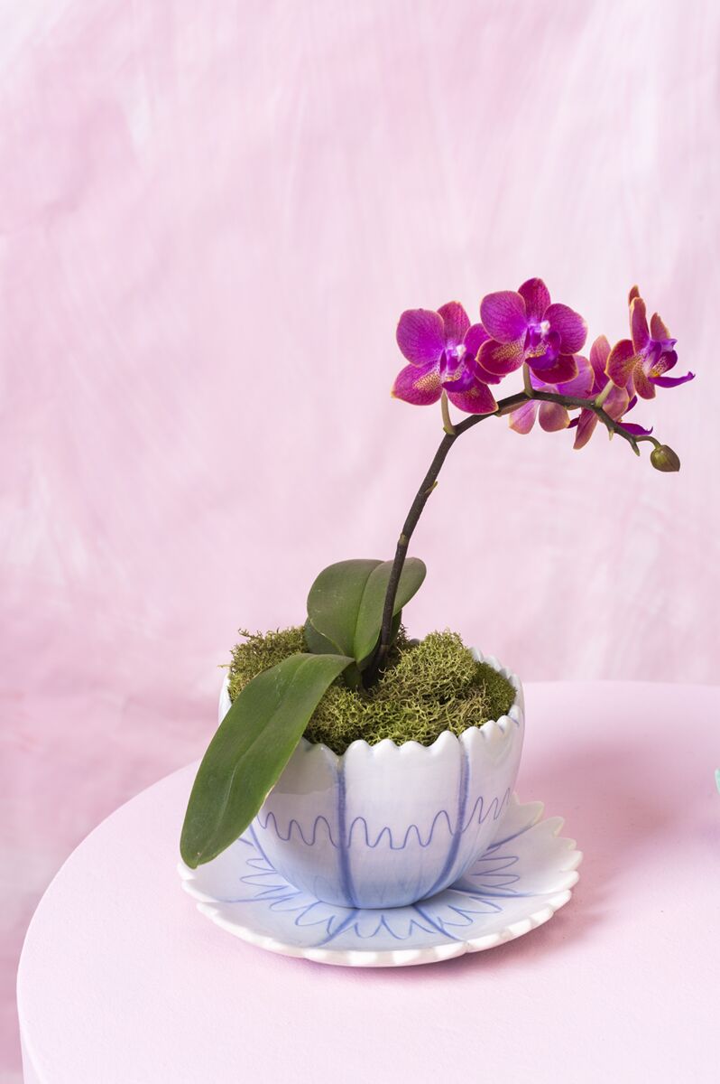 Design Shop Blue Little Flower Pot, 6" X 4.5".