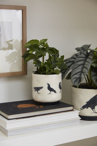 Design Shop Corvus Pot 4.5"x 4.5", Set of 2