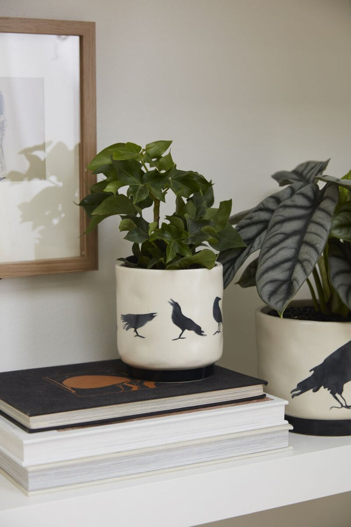 Design Shop Corvus Pot 4.5"x 4.5", Set of 2