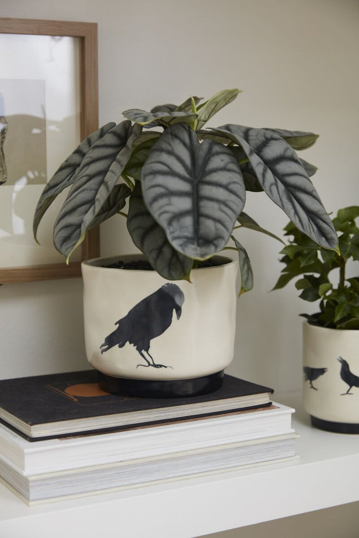 Potted plant with a bird design on a stack of books against a neutral wall.