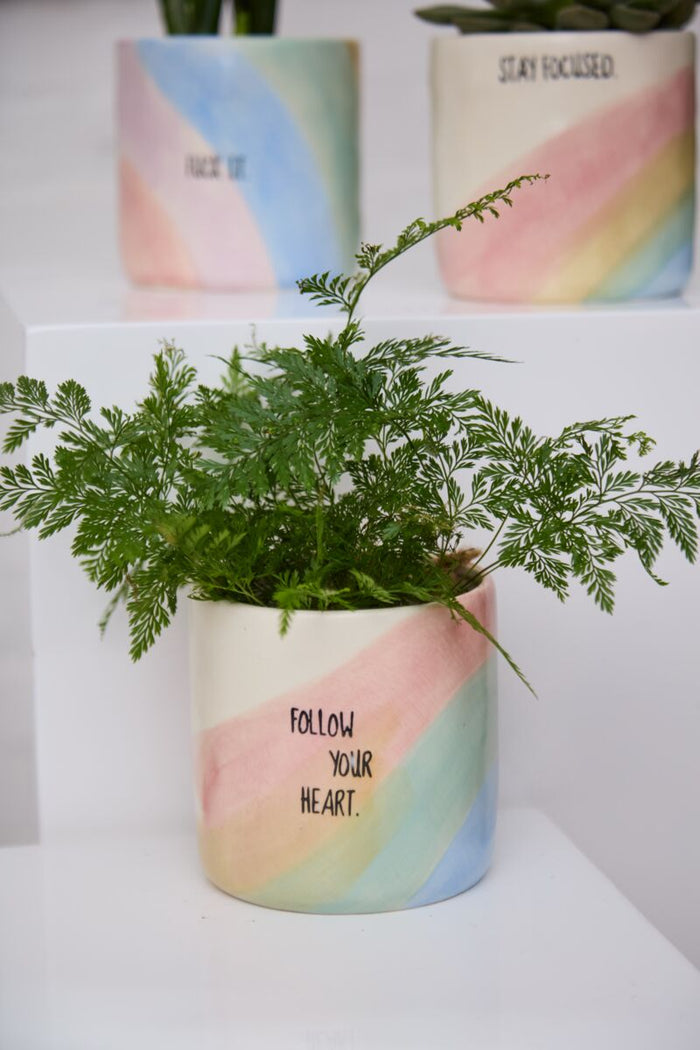 Design Shop Multicolor Ephemeral Pot Follow Your Heart, 4.5" X 4.5", Set of 2.