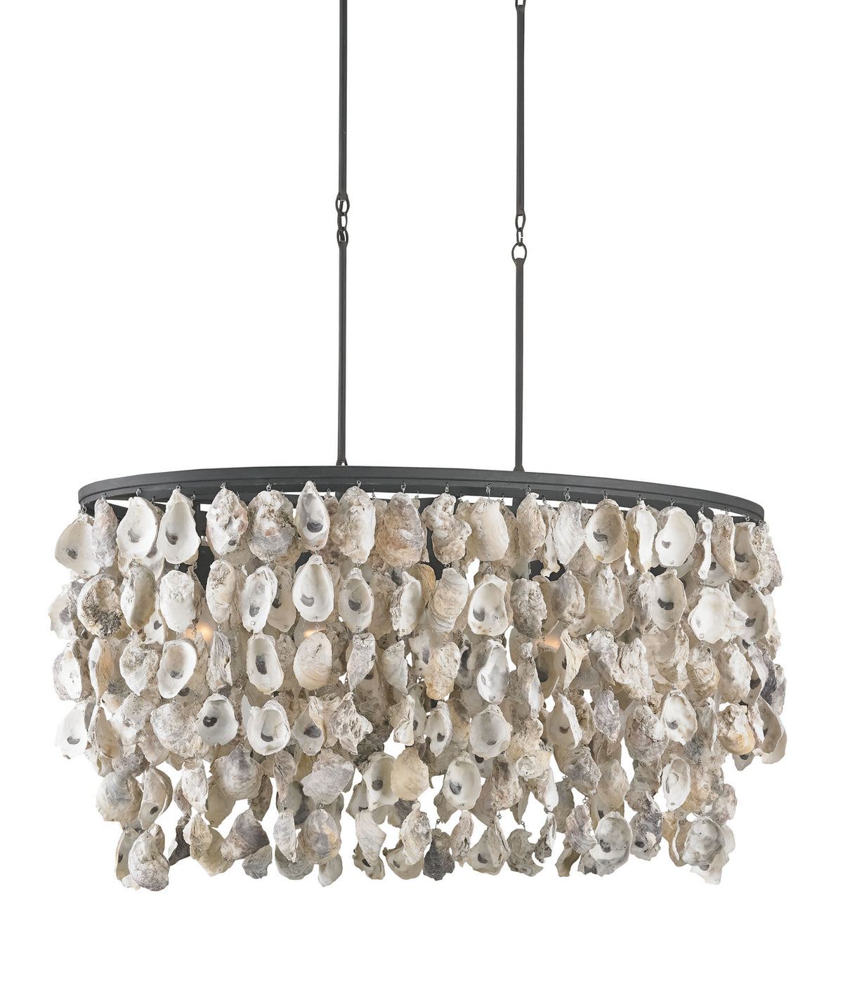 Currey and Company - 9492 - Five Light Chandelier - Oyster Shell Collection - Natural/Blacksmith