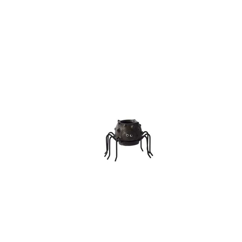 Design Shop Silly Spider Pot 2.5"x 1.5"