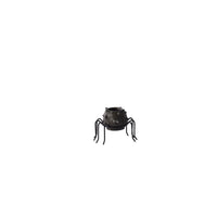 Design Shop Silly Spider Pot 2.5"x 1.5"