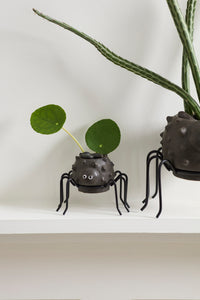 Design Shop Silly Spider Pot 2.5"x 1.5"