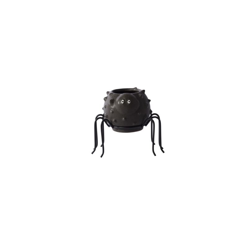Design Shop Silly Spider Pot 4"x 3"