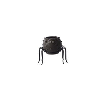 Design Shop Silly Spider Pot 4"x 3"